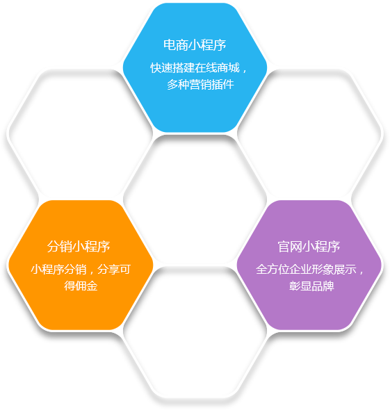 小程序開(kāi)發(fā)公司